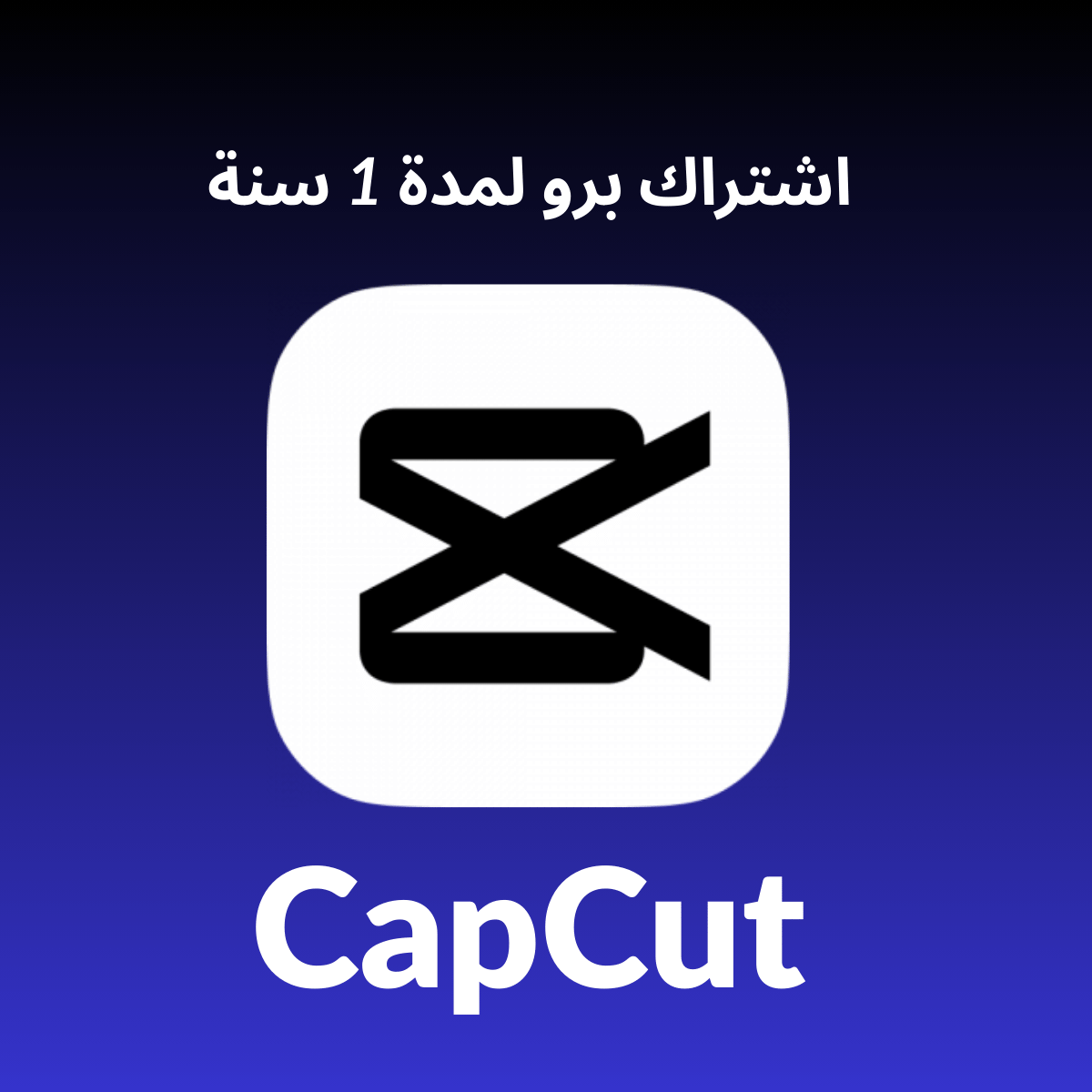 CapCut Pro 1 Year Private